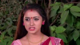 Agni Sakshi S01E74 Gowri Wins Shanker's Trust Full Episode