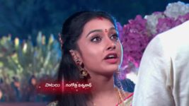 Agni Sakshi S01E79 Shanker Grants Gowri's Wish Full Episode