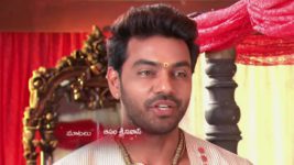 Agni Sakshi S01E84 Gowri's Clever Move Full Episode