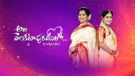 Ala Venkatapuram Lo S01 E967 13th March 2024