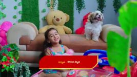 Ennenno Janmala Bandham S01E169 Khushi Is Delighted Full Episode