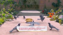 Karn Sangini S01E82 Karn Learns the Truth Full Episode