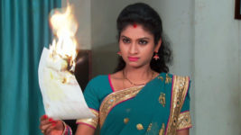 Kumkuma Puvvu (Maa Tv) S07 E29 Siri Burns Amrutha's Photo!