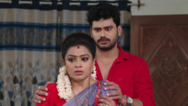 Kumkuma Puvvu (Maa Tv) S08 E1046 Renuka Is Exasperated