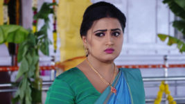 Kumkuma Puvvu (Maa Tv) S08 E1063 Amrutha in a Tight Spot