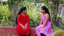 Kumkuma Puvvu (Maa Tv) S08 E1268 Janavi Questions Anjali