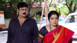 Kumkuma Puvvu (Maa Tv) S08 E1269 Jayanthi and Rahuram Are Tensed