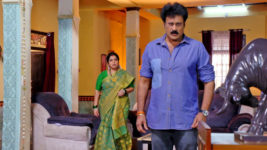 Kumkuma Puvvu (Maa Tv) S08 E1287 Raghuram Loses His Cool