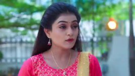 Kumkuma Puvvu (Maa Tv) S08 E1600 Amulya Gets Praised