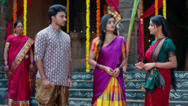 Kumkuma Puvvu (Maa Tv) S08 E2122 Panchami Assists Anjali, Bunty
