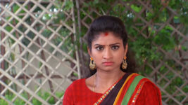 Kumkuma Puvvu (Maa Tv) S08 E249 Siri Hurts Jayanthi