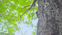 Saam Daam Dand Bhed S06E192 Is Vijay Safe? Full Episode