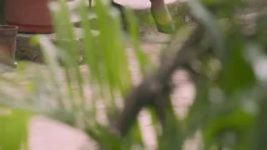 Saam Daam Dand Bhed S06E207 Vijay, Bulbul on Cloud Nine Full Episode