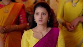 Satyabhama S01 E61 Krish, Satya's Haldi Festivities