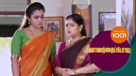 Vanathai Pola S01 E1001 18th March 2024