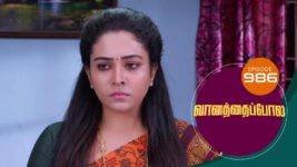 Vanathai Pola S01 E986 29th February 2024