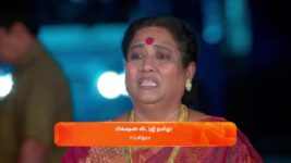 Anna (Tamil) S01 E300 5th April 2024