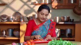 Annapoorna S01 E493 3rd April 2024