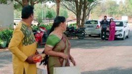 Annapoorna S01 E500 10th April 2024