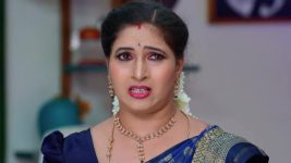 Annapoorna S01 E502 12th April 2024