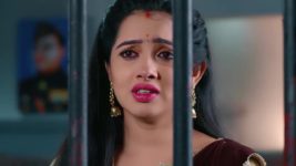 Annapoorna S01 E516 26th April 2024