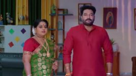 Annapoorna S01 E520 30th April 2024