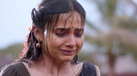 Maa Annaya (Zee Telugu) S01 E09 3rd April 2024