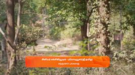 Maari S01 E495 2nd April 2024