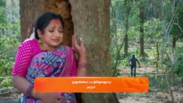 Maari S01 E496 3rd April 2024