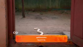 Maari S01 E506 15th April 2024