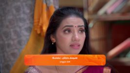Meenakshi Ponnunga S01 E533 3rd April 2024