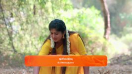 Meenakshi Ponnunga S01 E539 11th April 2024