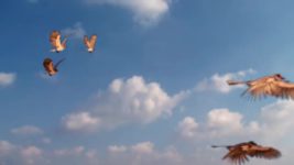 Namah Laxmi Narayan S01 E33 Raja Manu to Search for Sheshnag
