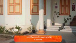 Sandhya Raagam (Tamil) S01 E147 3rd April 2024
