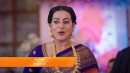 Shravani Subramanya S01 E13 3rd April 2024