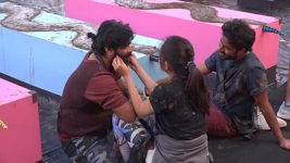 Bigg Boss Telugu (Star Maa) S06E67 Day 66 - The Marble Hunt Full Episode