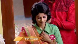 Bokul Kotha S01E119 20th April 2018 Full Episode