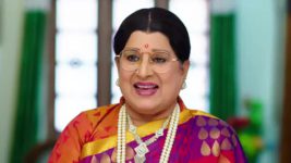 Hitler Gari Pellam S01E447 19th January 2022 Full Episode