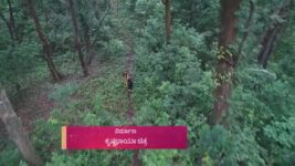 Naagini S01E576 1st May 2018 Full Episode