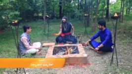 Naagini S01E902 17th July 2019 Full Episode