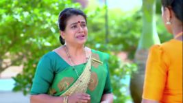 Paaru S01E108 30th April 2019 Full Episode