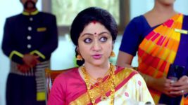 Paaru S01E97 15th April 2019 Full Episode
