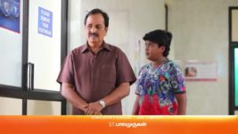 Sembaruthi S01E486 24th May 2019 Full Episode