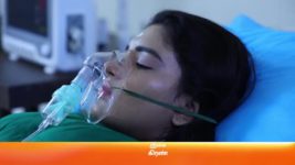 Sembaruthi S01E487 25th May 2019 Full Episode