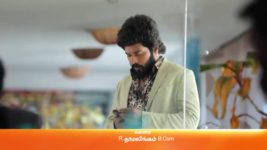 Sembaruthi S01E489 28th May 2019 Full Episode