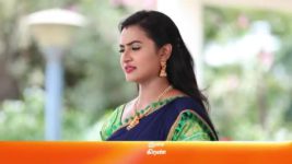 Sembaruthi S01E497 6th June 2019 Full Episode
