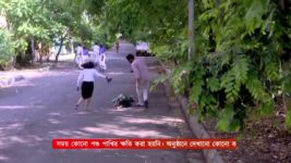 Alorekole S01 E141 15th May 2024