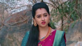 Annapoorna S01 E525 5th May 2024