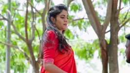 Jagadhatri (zee telugu) S01 E235 20th May 2024