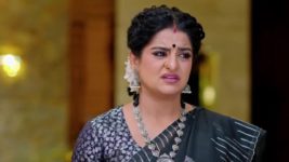 Jagadhatri (zee telugu) S01 E236 21st May 2024